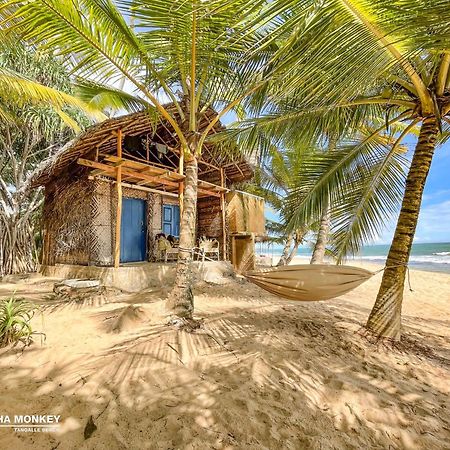 The Alpha Monkey Hotel & Tree House تانجالي المظهر الخارجي الصورة