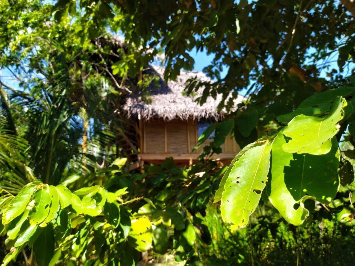 The Alpha Monkey Hotel & Tree House تانجالي المظهر الخارجي الصورة