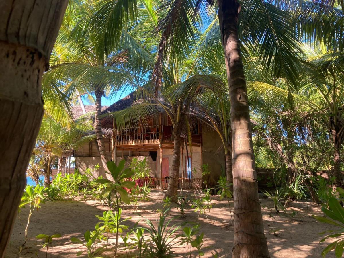 The Alpha Monkey Hotel & Tree House تانجالي المظهر الخارجي الصورة