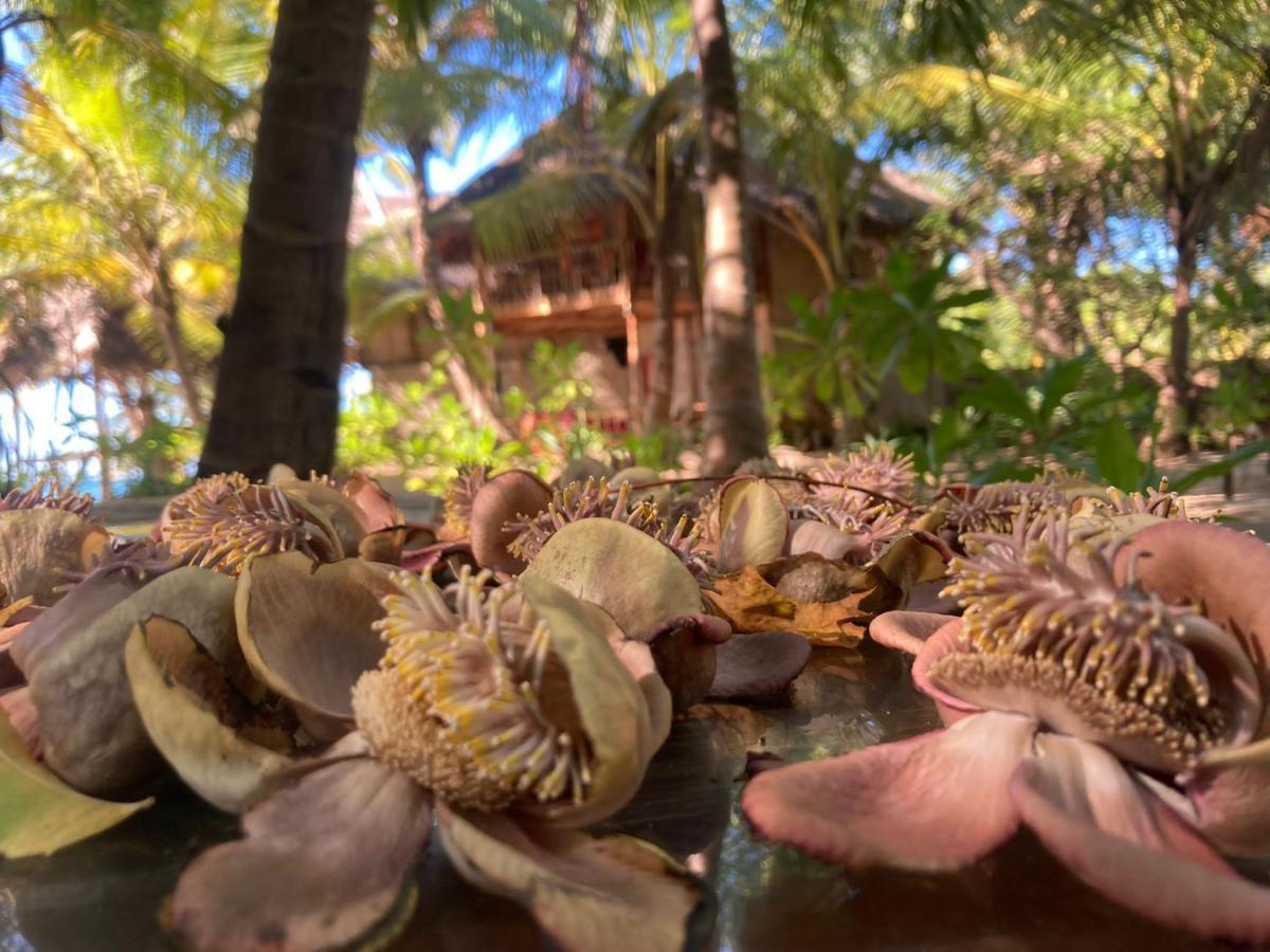 The Alpha Monkey Hotel & Tree House تانجالي المظهر الخارجي الصورة