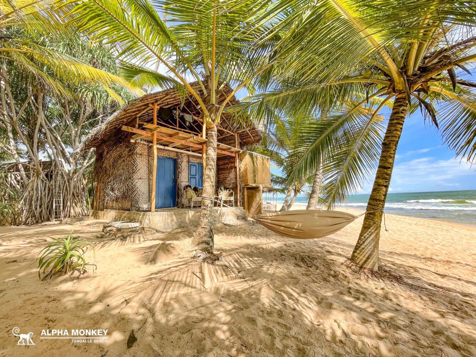 The Alpha Monkey Hotel & Tree House تانجالي المظهر الخارجي الصورة
