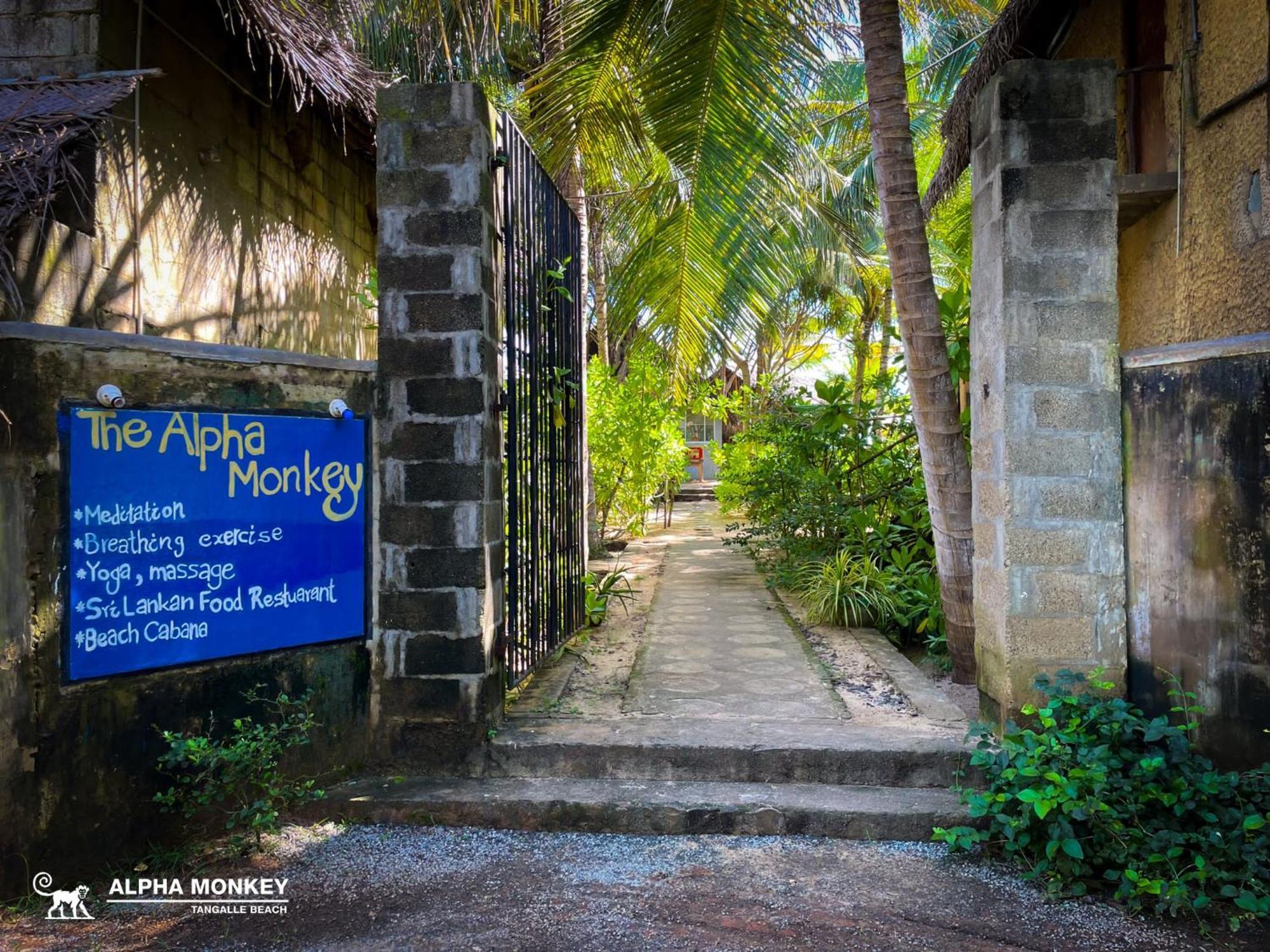 The Alpha Monkey Hotel & Tree House تانجالي المظهر الخارجي الصورة