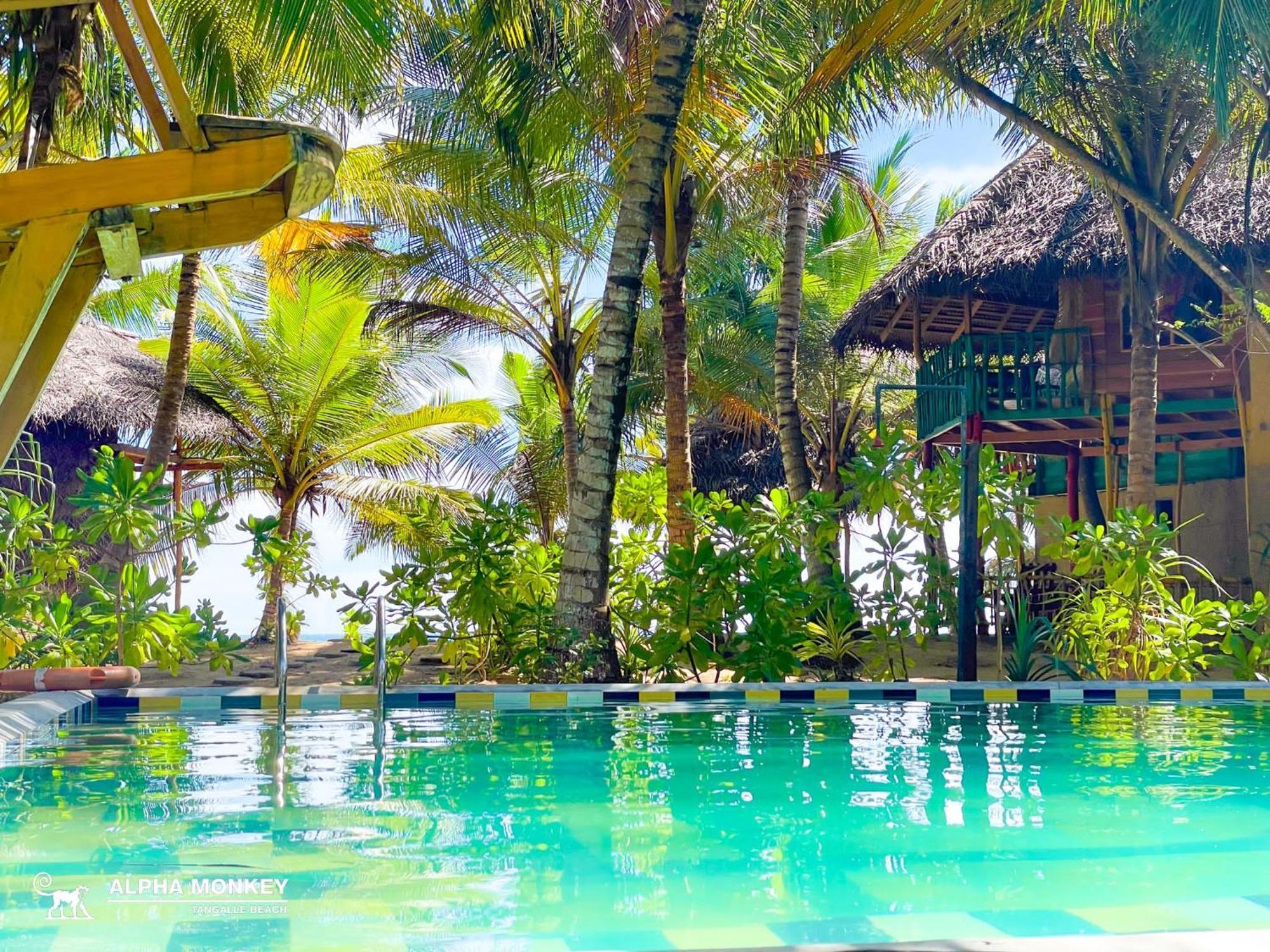 The Alpha Monkey Hotel & Tree House تانجالي المظهر الخارجي الصورة