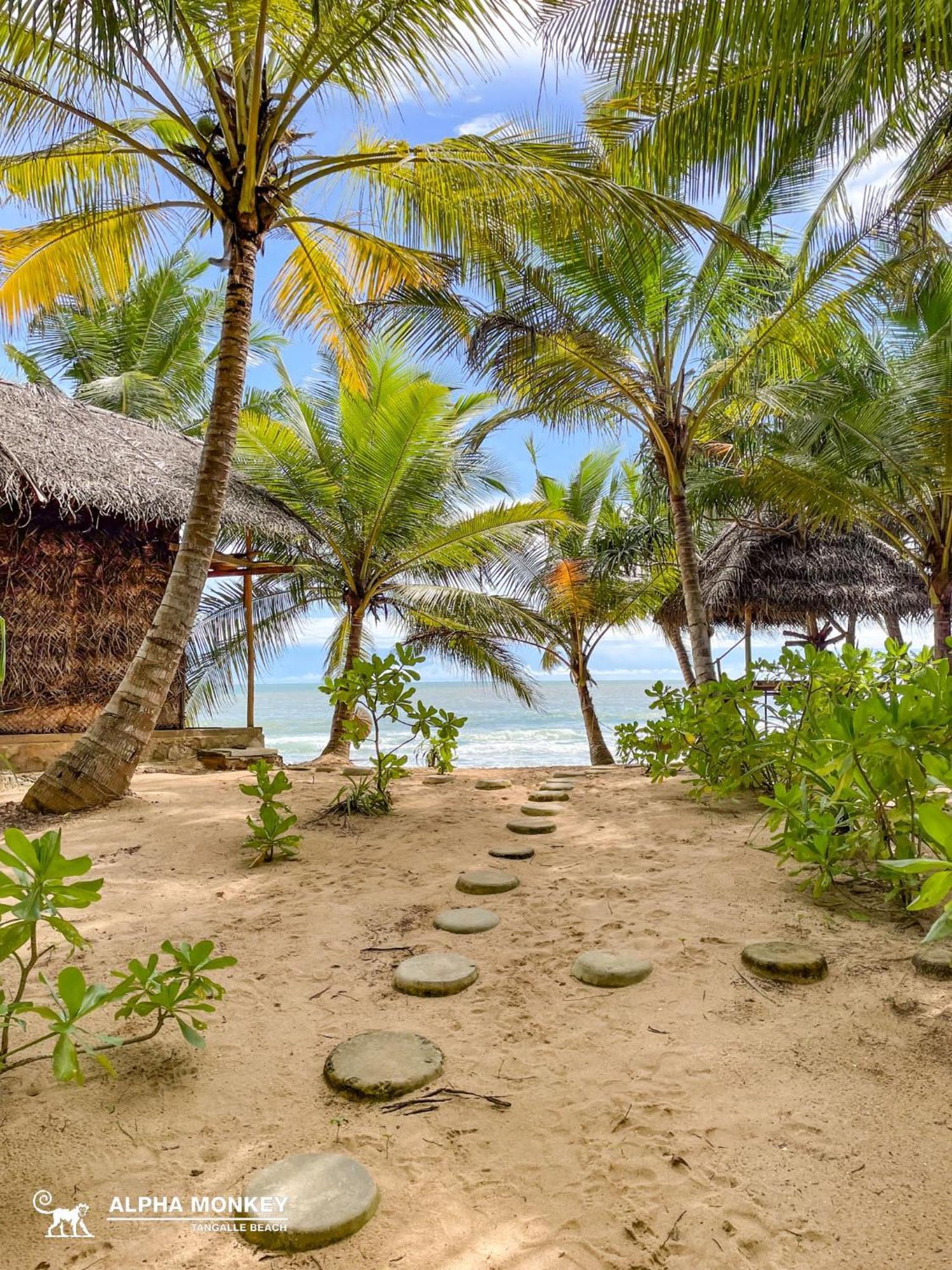 The Alpha Monkey Hotel & Tree House تانجالي المظهر الخارجي الصورة