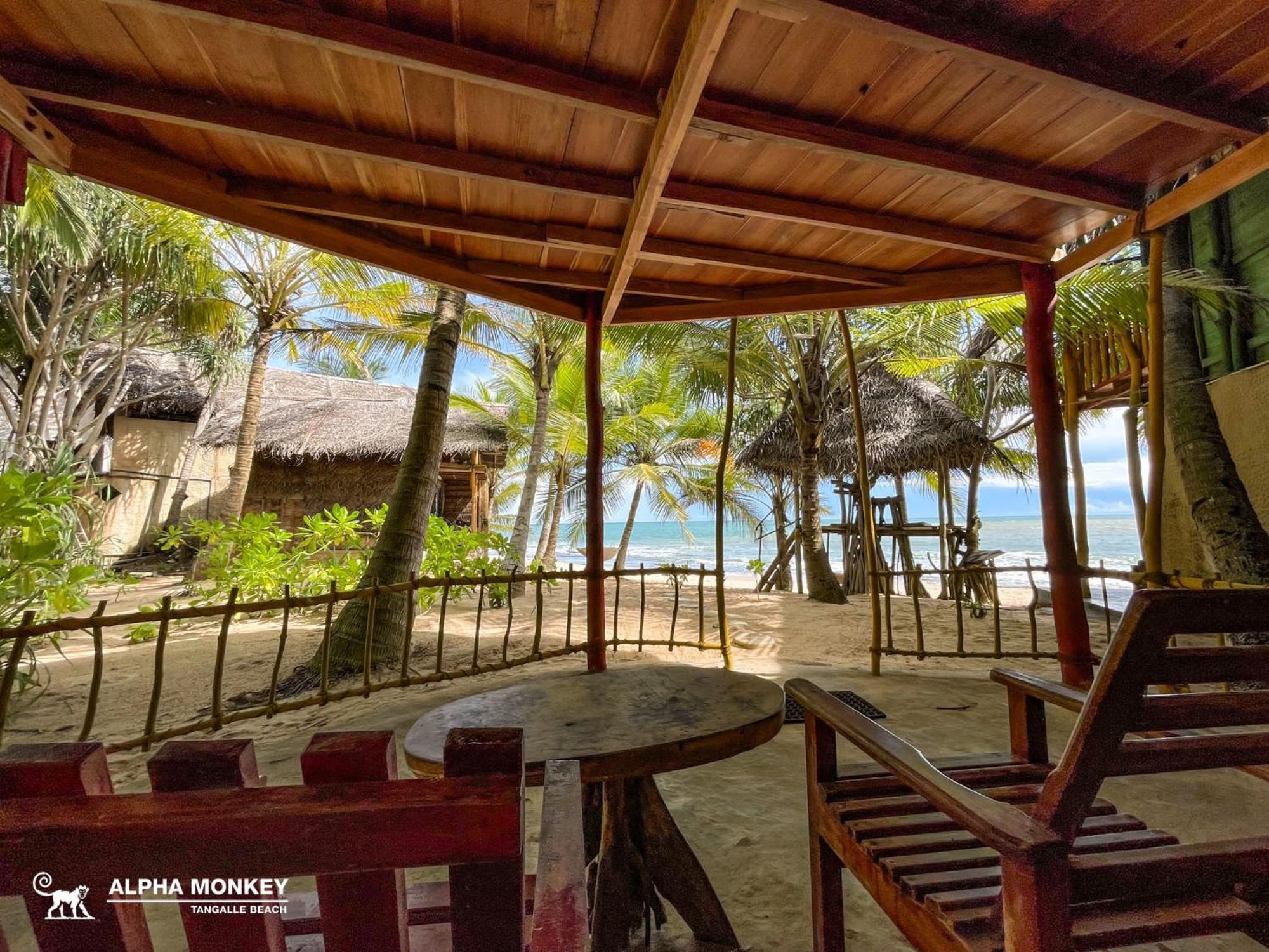 The Alpha Monkey Hotel & Tree House تانجالي الغرفة الصورة