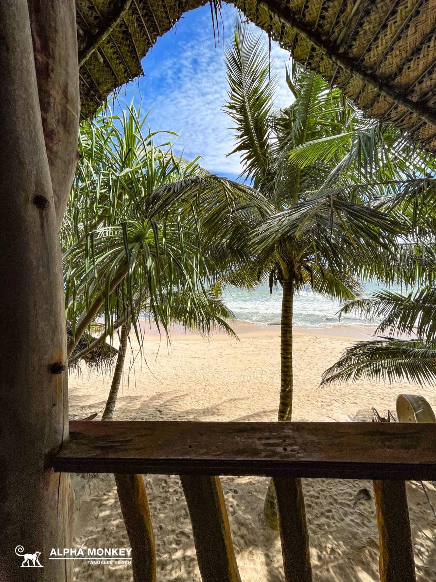 The Alpha Monkey Hotel & Tree House تانجالي الغرفة الصورة